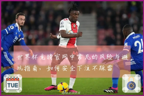 世界杯竞猜官网中常见的风险与避坑指南，如何安全下注不踩雷