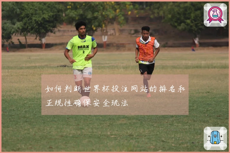 如何判断世界杯投注网站的排名和正规性确保安全玩法